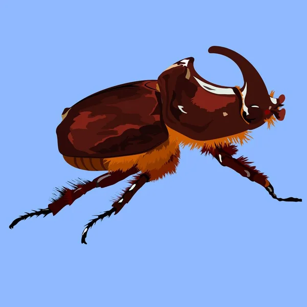 サイムシベクトル サイムシ Rhinoのカブトムシ レッド ブック ビートル 大きな茶色の昆虫 ベクトルイラスト 珍しい虫 — ストックベクタ