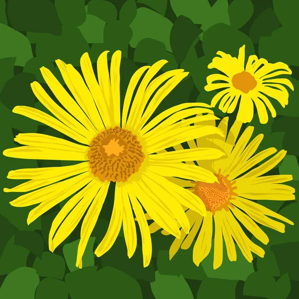 yellow flowers on a green background. vector graphics, illustration of yellow flowers, sunflowers, Doronicum