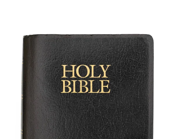 Heilige Bijbel Geïsoleerd Wit — Stockfoto