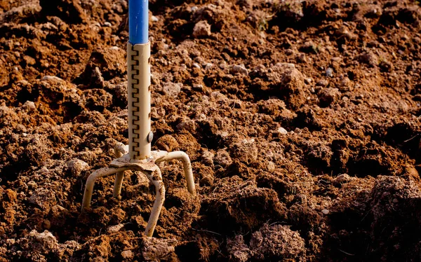 El bilgisayarı bahçe pençe ekicisi ve toprak.