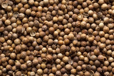 Kişniş baharatının düz görünümü