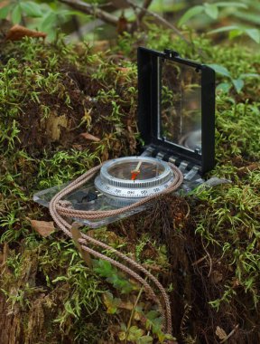 Ormanda doğa yürüyüşü pusulası