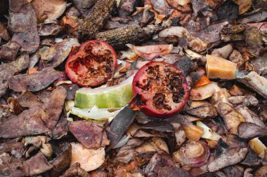 Organik sebze gübresi yığını