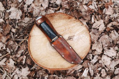 Avcı bıçağı ve kınının yukarıdan görünüşü