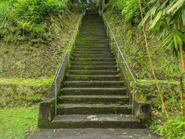 Dalem Balingkang Tapınağı 'ndaki merdivenler, Bali, Endonezya. Yosunlu taş merdiven arkaplanı.