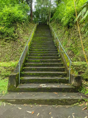Dalem Balingkang Tapınağı 'ndaki merdivenler, Bali, Endonezya. Yosunlu taş merdiven arkaplanı.