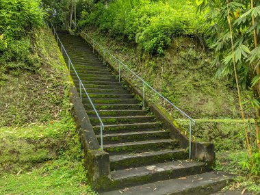 Dalem Balingkang Tapınağı 'ndaki merdivenler, Bali, Endonezya. Yosunlu taş merdiven arkaplanı.