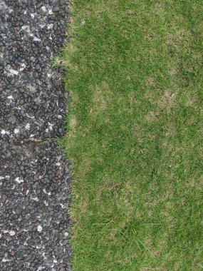 Küçük taş moloz ve yeşil çimen dokusu. Bahçe zemin dekorasyonu.
