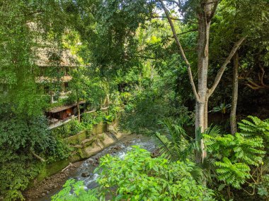 Gunung Lebah Tapınağı, Gianyar, Bali 'nin yeşil kayalıklarından nehrin manzarası.