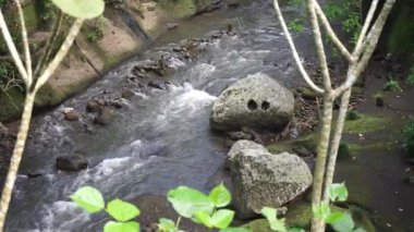 Gunung Lebah Tapınağı, Gianyar, Bali 'nin yeşil kayalıklarından nehrin manzarası.