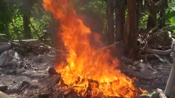 Сжигание Мусора Земле Пламя Свалке Концепция Загрязнения Токсичные Отходы — стоковое видео