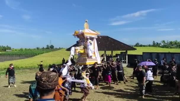 Bali Indonesia Mayo 2023 Una Ceremonia Cremación Balinesa Ngaben Tabanan — Vídeo de stock