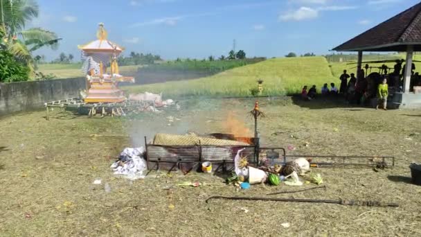 2023年5月19日インドネシア タバナンでバリ火葬式が行われる ヒンドゥ教の儀式の一環として火を用いて遺体を火葬する過程 — ストック動画