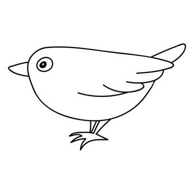 Tek elle çizilmiş kuş. Doodle vektör çizimi. Beyaz bir arkaplanda izole edilmiş.