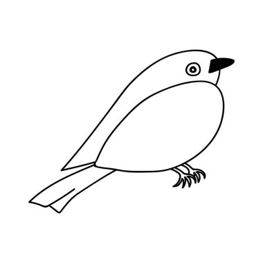 Tek elle çizilmiş kuş. Doodle vektör çizimi. Beyaz bir arkaplanda izole edilmiş.