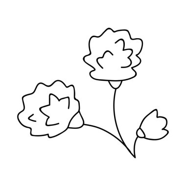 El çizimi çiçekler. Çizimler vektör illüstrasyonu. Beyaz bir arkaplanda izole edilmiş.