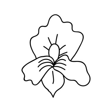 Single hand drawn orchid flower. Doodles vector illustration. Isolated on a white background.