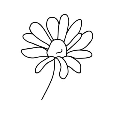 Tek elle çizilmiş papatya. Doodle vektör çizimi. Beyaz bir arkaplanda izole edilmiş.