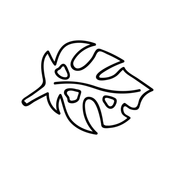 単手描きのモンスターの葉 落書きベクトルイラスト 白い背景に隔離されています 夏の雰囲気 — ストックベクタ