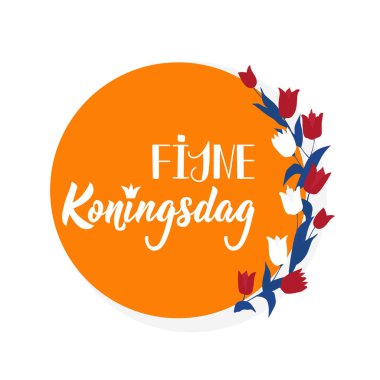 Krallar günün kutlu olsun. Hollanda metni: Mutlu Krallar Günü. Mektup. Vektör çizimi. El ilanları, afişler ve posterler için. Modern hat sanatı. Fijne Koningsdag.