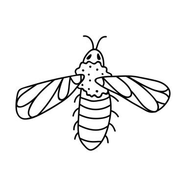 Tek elle çizilmiş arı. Doodle vektör çizimi. Beyaz bir arkaplanda izole edilmiş.