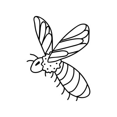 Tek elle çizilmiş arı. Doodle vektör çizimi. Beyaz bir arkaplanda izole edilmiş.