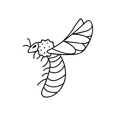 Tek elle çizilmiş arı. Doodle vektör çizimi. Beyaz bir arkaplanda izole edilmiş.