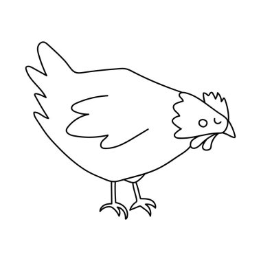 Single hand drawn chicken. Doodle vector illustration. Isolated on a white background.