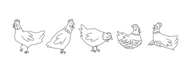 Bir çift tavuk. Doodle vektör çizimi. Beyaz bir arkaplanda izole edilmiş.