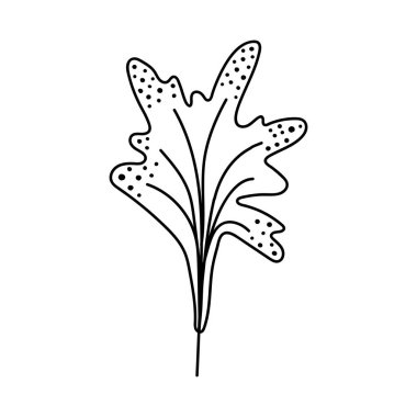 Tek elle çizilmiş yaprak. Doodle vektör çizimi. Beyaz bir arkaplanda izole edilmiş.