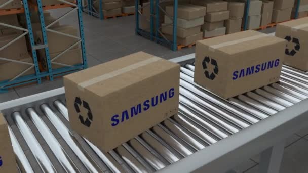 Istanbul Turkey 2023 Cardboard Boxes Samsung Logo Conveyor Belt Line — Stock videók