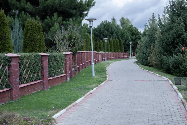 Bahçede akşam patikası. Ağaçlarla kaplı caddede kaldırım