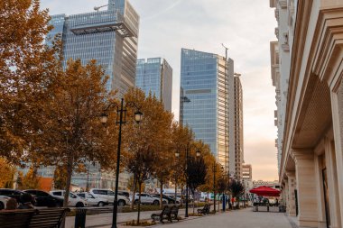 Ahşap bankları, eski sokak lambaları, çiğ ve gökdelenlerde sarı ağaçları olan Autumn City Caddesi. Gün doğumunda büyük şehrin şehir merkezi. Sonbahar renkleriyle çevrili Idyllic kentsel hareketli bulvar