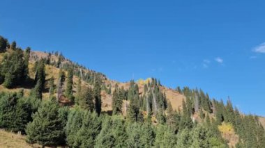 beautiful landscape with mountains and trees. Kazakhstan, Almaty