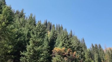 beautiful landscape with mountains, trees and blue sky. Kazakhstan, Almaty
