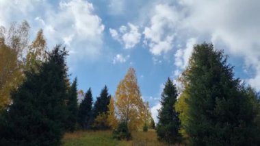Beautiful view of the nature  in the autumn. Almaty, Kazakhstan.