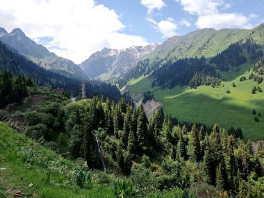Dağlar da (etrafa) saçılmış hurma ağaçları (nın meyveleri) dir. Yüksek rakımlı kayalık dağ sıralarında kar var.