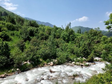 Nehir bir dağ geçidinde akar. Dağlar çalı ve ağaçlarla kaplı. Bulutlar gökyüzünde süzülür