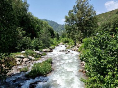 Harika bir dağ manzarası. Nehir akıyor. Nehir kıyısında ağaçlar ve çalılar yetişir.