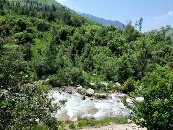 Vackert Bergslandskap Floden Rinner Genom Bergsravin Träd Och Buskar Täcker — Stockfoto