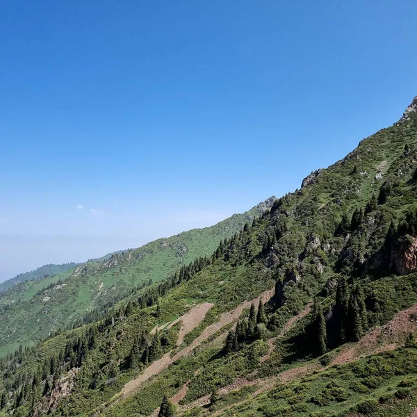 Schöne Berglandschaft Die Berge Sind Mit Vegetation Bedeckt — Stockfoto