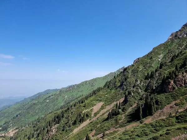Een Mooie Zomerdag Bergen Bergketens Zijn Bedekt Met Gras Bomen — Stockfoto