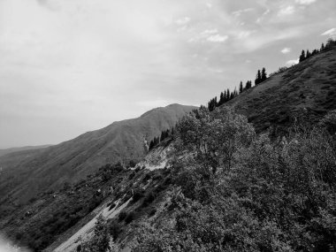 Dağların siyah beyaz fotoğrafı