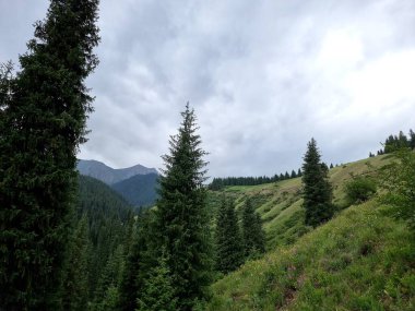 bulutlu bir günde yeşil ormanlı dağ manzarası