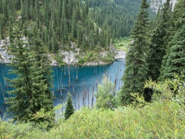 Güzel göl manzarası