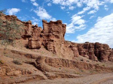 Doğanın güzel manzarası