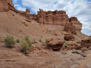 Güzel bir kanyon manzarası.  