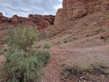 Dağların güzel manzarası