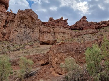 Doğanın güzel manzarası