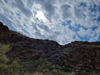 bir ağaç ile güzel dağ manzara